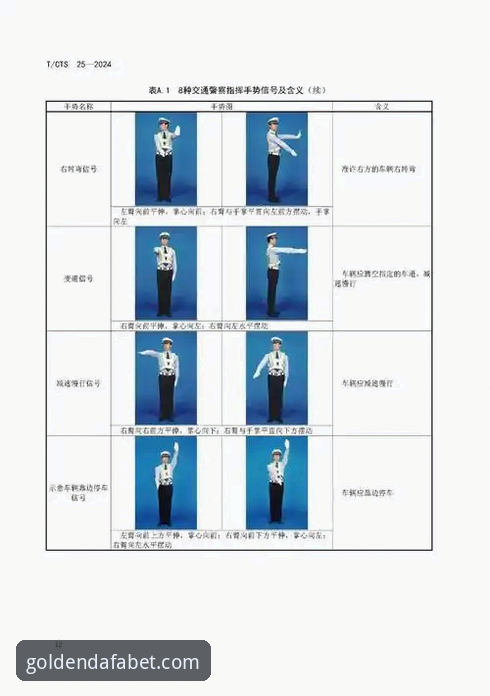 大发体育平台新手入门：DAFABET官方安全通道使用指南