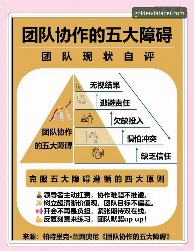 破解DAFABET官方入口难题的实用指南，大发体育平台畅玩必备知识